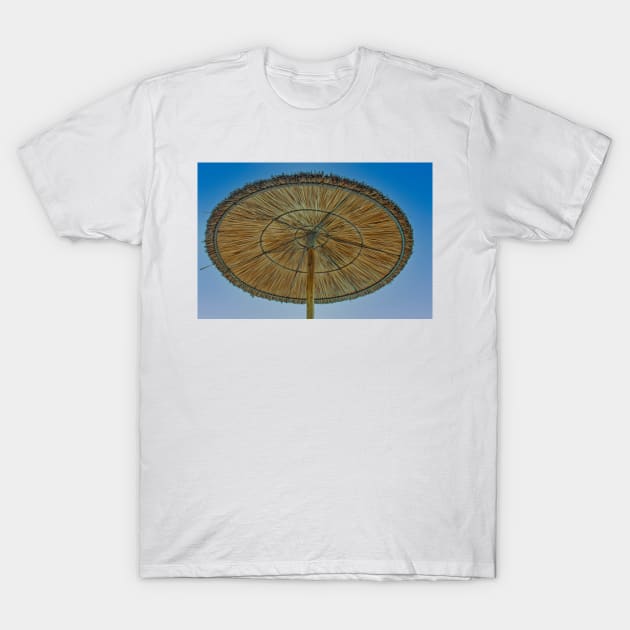 Reed parasol low angle T-Shirt by Photopat